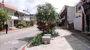 thumb_4_20251117_saipan_1058_edited - frame at 0m44s.jpg